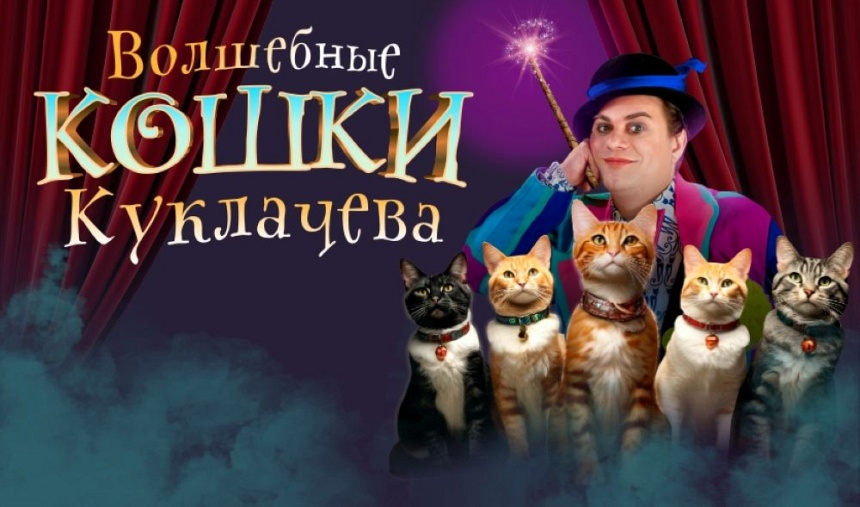 Владимир Куклачев и Театр кошек Ю. Куклачёва (г. Железнодорожный, ДК "Родник") 12:00 Владимир Куклачев и Театр кошек Ю. Куклачёва (г. Железнодорожный, ДК "Родник") 12:00